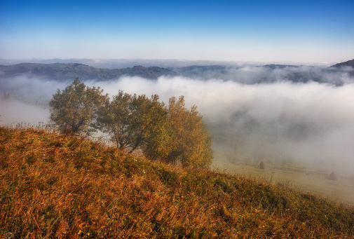 autumn sunrise in the Carpathian mountains. picturesque foggy morning