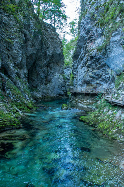istock Vintgar Gorge, Slovenia 1060906928
