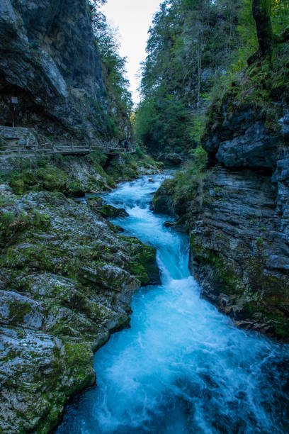 istock Vintgar Gorge, Slovenia 1060907246