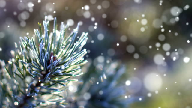 Christmas card (Loop 4k) - Snow with Glitter effect.