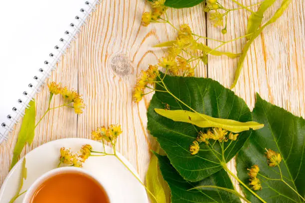 linden herbal tea on wooden table