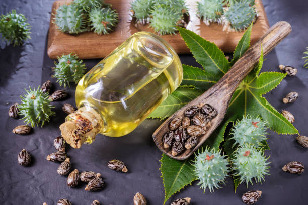 istock beans and castor oil on the black table 1060920426