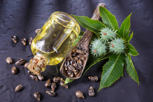 istock beans and castor oil on the black table 1060920632