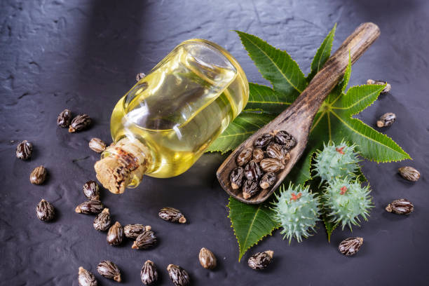istock beans and castor oil on the black table 1060920754