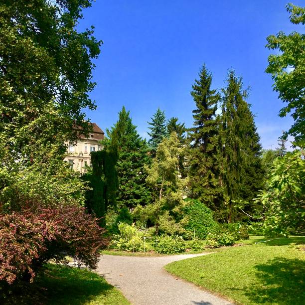 istock A trail in the Zagreb Botanical Gardens 1060920944