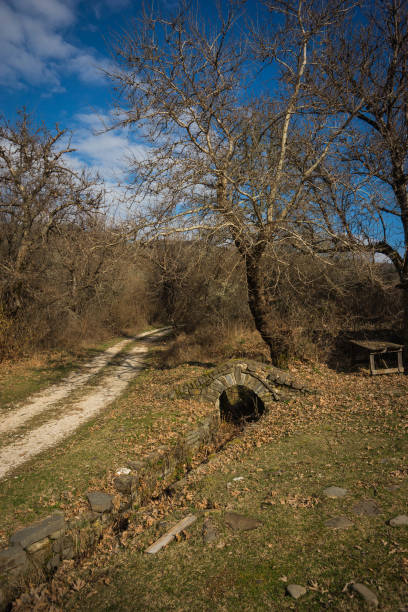 istock Ancient stone bridge  in Zagorohoria, Greece 1060921028