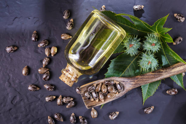 istock beans and castor oil on the black table 1060921084
