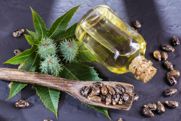 istock beans and castor oil on the black table 1060921134