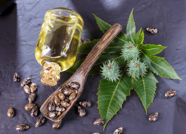 istock beans and castor oil on the black table 1060921386