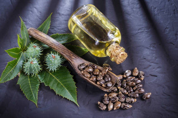 istock beans and castor oil on the black table 1060921520