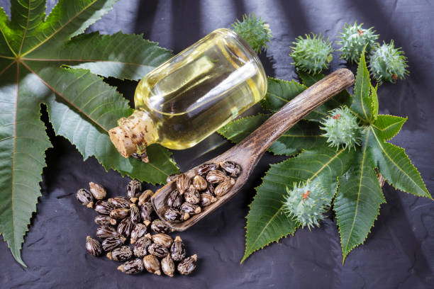 istock beans and castor oil on the black table 1060922634