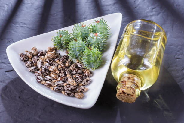 istock beans and castor oil on the black table 1060922984