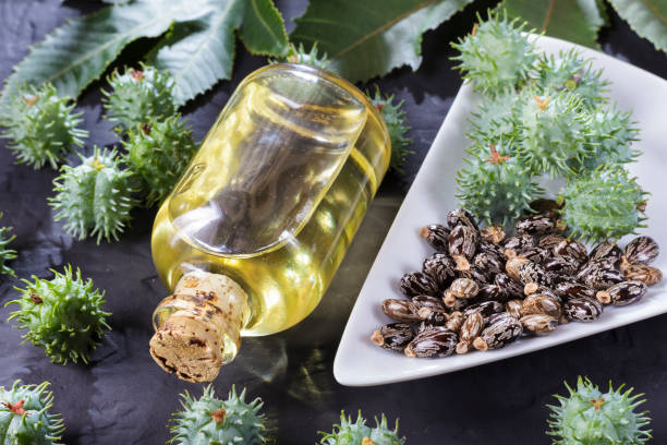 istock beans and castor oil on the black table 1060923620