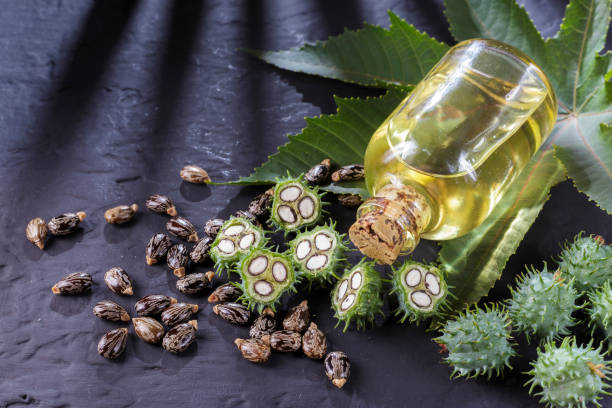 istock beans and castor oil on the black table 1060926772