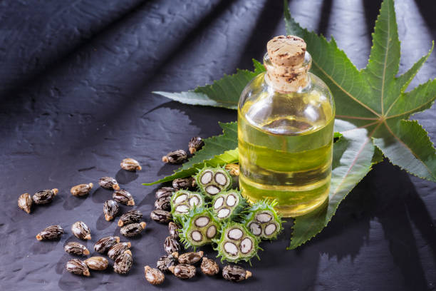 istock beans and castor oil on the black table 1060926774