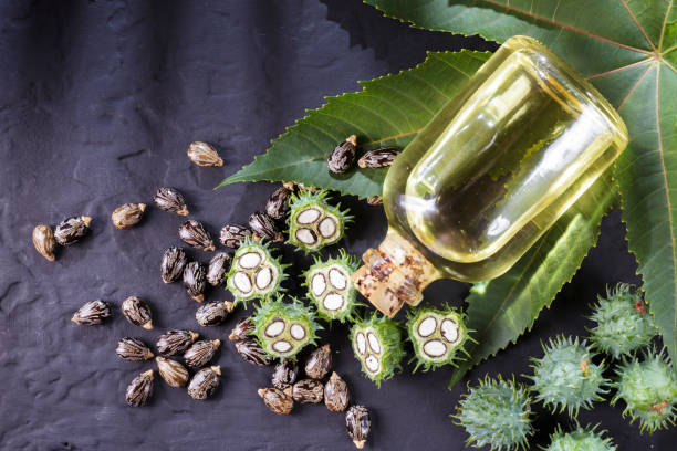 istock beans and castor oil on the black table 1060927134