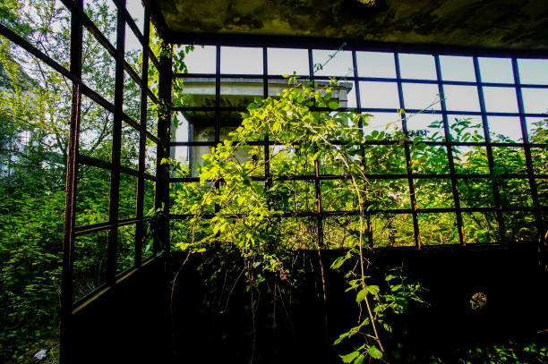 istock Abandoned Old Ruined Industrial Plant 1060927438