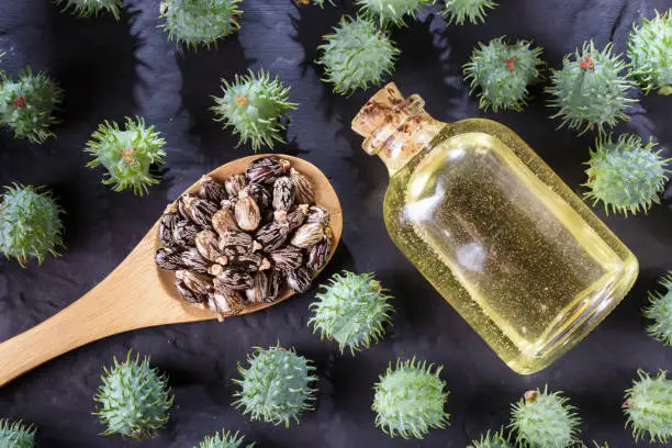 Photo of beans and castor oil on the black table