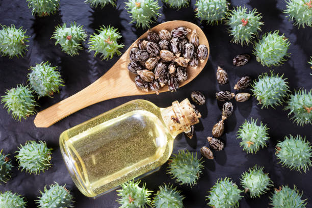 istock beans and castor oil on the black table 1060928874