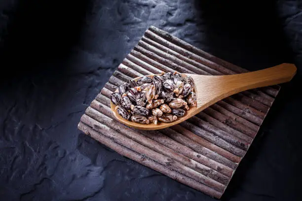 Photo of castor oil seeds on black background