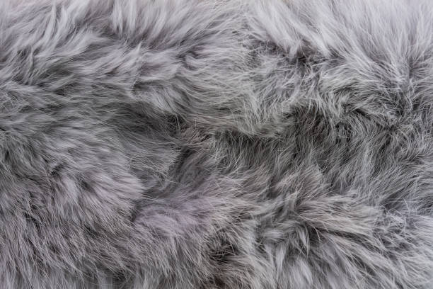 anumal fur textured - anumal imagens e fotografias de stock