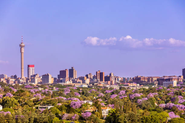 Johannesburg cityscape seen from the West Johannesburg city seen from the West with the Jacaranda Trees in bloom.
Johannesburg, also known as Jozi, Jo'burg or eGoli, "city of gold" is the largest city in South Africa. It is the provincial capital of Gauteng, the wealthiest province in South Africa, having the largest economy of any metropolitan region in Sub-Saharan Africa. The city is ranked as the top 20 largest metropolitan areas in the world. johannesburg photos stock pictures, royalty-free photos & images