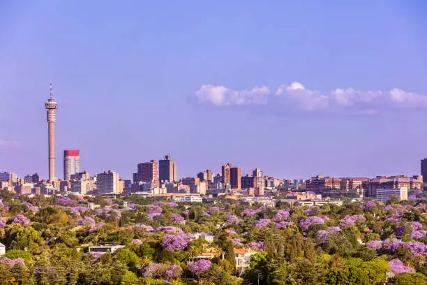 Johannesburg city seen from the West with the Jacaranda Trees in bloom.
Johannesburg, also known as Jozi, Jo'burg or eGoli, "city of gold" is the largest city in South Africa. It is the provincial capital of Gauteng, the wealthiest province in South Africa, having the largest economy of any metropolitan region in Sub-Saharan Africa. The city is ranked as the top 20 largest metropolitan areas in the world.