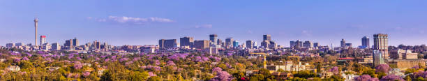 Johannesburg cityscape panorama seen from the West Johannesburg city panorama seen from the West with the Jacaranda Trees in bloom.
Johannesburg, also known as Jozi, Jo'burg or eGoli, "city of gold" is the largest city in South Africa. It is the provincial capital of Gauteng, the wealthiest province in South Africa, having the largest economy of any metropolitan region in Sub-Saharan Africa. The city is ranked as the top 20 largest metropolitan areas in the world. johannesburg photos stock pictures, royalty-free photos & images