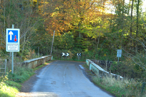 istock Country road in Autumn 1060938510