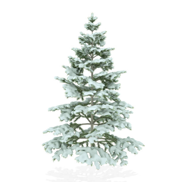 istock Realistic Christmas Tree covered with snow isolated on a white background. 3D Illustration 1060940138