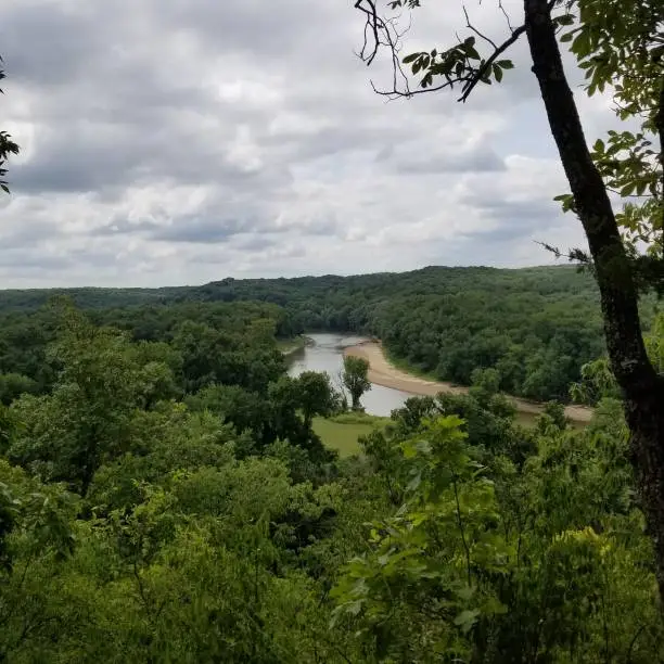 View of the river from a forest