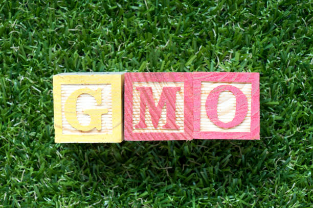 istock Color wood block in word GMO (abbreviation of Genetically Modified Organisms) on artificial green grass background 1060941580