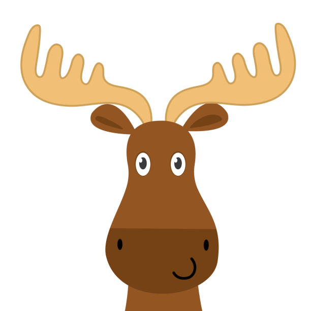 ilustraciones, imágenes clip art, dibujos animados e iconos de stock de enfrentan a alces lindos diseño, lindo carácter animal - moose head