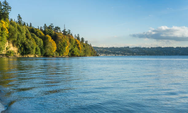 istock Autumn Shoreline Scene 4 1060953474