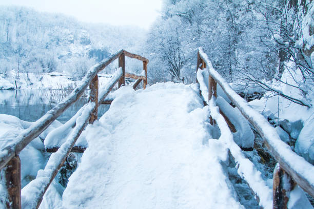 A cold morning with the first snow layer of the season