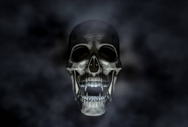 istock Halloween scary vampire skull on the dark background 1060963690