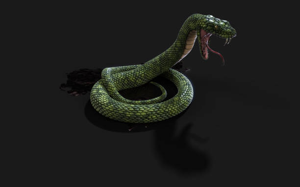 istock Green Giant Snake with Clipping Path 1060965808