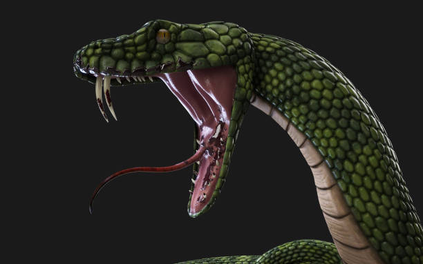 istock Green Giant Snake with Clipping Path 1060965816