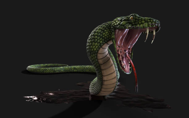 istock Green Giant Snake with Clipping Path 1060965836