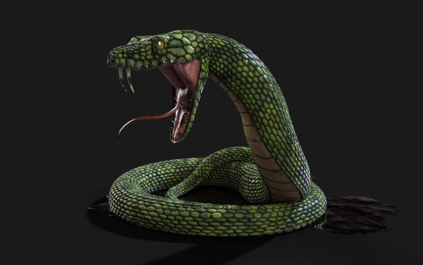 istock Green Giant Snake with Clipping Path 1060965868