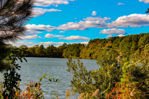 istock Hoffler's Creek Wildlife Refuge 1060970914
