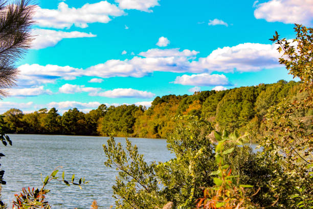 istock Hoffler's Creek Wildlife Refuge 1060970942