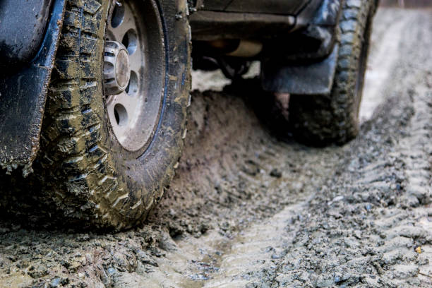 istock Off-road in the forest and car wheels 1060973284