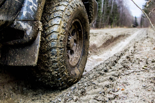 istock Off-road in the forest and car wheels 1060973414