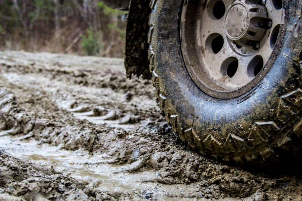 istock Off-road in the forest and car wheels 1060975788