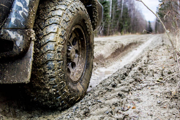 istock Off-road in the forest and car wheels 1060977168
