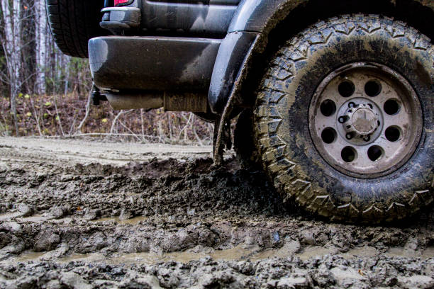 istock Off-road in the forest and car wheels 1060977602