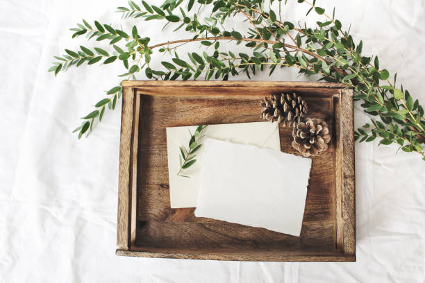 scène de maquette mariage noël ou l’hiver. cartes de voeux papier coton blanc, plateau en bois ancien, pommes de pin et branche verte de parvifolia eucalyptus. fond blanc linge de lit. vue plate lapointe, haut. - wedding flower decor invitation photos et images de collection