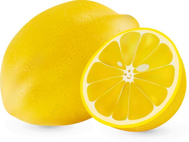 ilustrações, clipart, desenhos animados e ícones de vector realista todo limão e meio limão isolado no fundo branco. limão isolado no branco backgrpund. frutas cítricas - lemon textured peel portion
