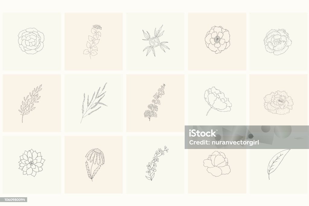 Set of floral design elements, plants, branches, leaves, rose, peony. Set of floral design elements, plants, branches, leaves, rose, peony. Line hand drawn elements for logo, emblem, decoration. Advertisement stock vector